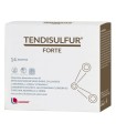 TENDISULFUR FORTE 14 BUSTE 119 G