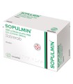 SOPULMIN 300 MG GRANULATO PER SOLUZIONE ORALE 20 BUSTINE