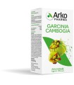 ARKO CAPSULE GARCINIA CAMB 45 CAPSULE