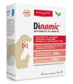 DINAMIC 20 BUSTINE 10 G