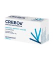 CREBOX 14 BUSTINE