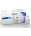 MD-MATRIX ITALIA 10 VIALS INIETTABILI 2 ML