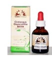 FITOBLASTO CRATAEGUS OXYACANTHA 50 ML