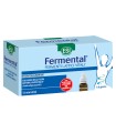 ESI FERMENTAL MAX 12 FLACONCINI