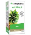 ARKO CAPSULE ANANAS GAMBO 45 CAPSULE