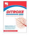 DITROXE 1000 INT 20 STICK 10 ML