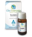 EUCALIPTO OLIO ESSENZIALE 10 ML