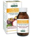 GARCINIA CAMBOGIA ESTRATTO TITOLATO 60% HCA 180 PASTIGLIE