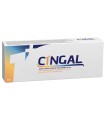 SIRINGA PRERIEMPITA INTRA ARTICOLARE CINGAL 4 ML 22MG/ML ACIDO RETICOLATO CON 4,5 MG/ML TRIAMCINOLONE ESACETONIDE