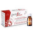 LACTOFER FERMENTI 10 FLACONCINI 10 ML