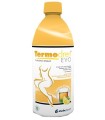 TERMODREN EVO TE' LIMONE 500 ML