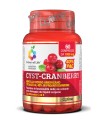 COLOURS OF LIFE CYST-CRANBERRY CON VITAMINA C E 60 COMPRESSE 1000 MG