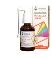 VOCALGEA SPRAY SOLUZIONEN ALCOLICA 30 ML