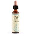 CHICORY BACH ORIG 20 ML