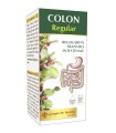 COLON REGULAR LIQUIDO ANALCOLICO 200 ML