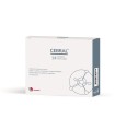 CEBRAL 14 BUSTINE