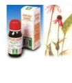 ECHINACEA 59 50ML TM