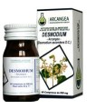 DESMODIUM 60 CAPSULE 500 MG