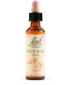 ROCK ROSE BACH ORIG 20 ML