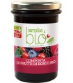 COMPOSTA DI FRUTTI DI BOSCO CON POLPA DI MELA BIO 320 G