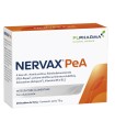 NERVAX PEA 20 BUSTINE