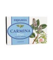 CARMINA PLUS 24 COMPRESSE 19,2 G