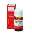 PINO MUGO OLIO ESSENZIALE 10 ML