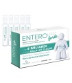 ENTEROLIFE FORTE 4 MILIARDI 20 FIALE DA 5 ML