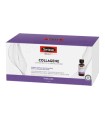 SWISSE COLLAGENE 7 FLACONCINI DA 30 ML