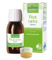 FICUS CARICA GEMME MACERATO GLICERINATO 60 ML INT