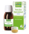 AESCULUS HIPPOCASTANUM MACERATO GLICERICO 60 ML INT