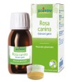 ROSA CANINA MACERATO GLICERICO 60 ML INT