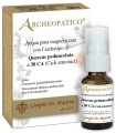 ARCHEOPATICO ACQUA PURA MAGNETIZZATA CON ARCHETIPO QUERCUS PEDUNCOLATA A 30 CICLI ARMONICI 10 ML