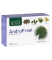 ANDROPROST 60 CAPSULE