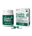 CONDROSTRESS + CAT 30 CAPSULE MONODOSE