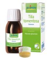 TILIA TOMENTOSA MACERATO GLICERICO 60 ML INT