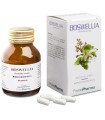 BOSWELLIA 50 CAPSULE