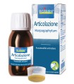 HARPAGOPHYTUM ESTRATTO IDROALCOLICO 60 ML INT