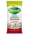 CITROSIL SALVIETTE IGIENIZZANTI LIMONE 40 PEZZI