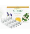 ALLERBE 24 CAPSULE VEGETALI BLISTER