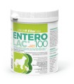 ENTEROLAC POLVERE BARATTOLO 100 G