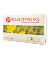 TRIBULUS TERRESTRIS 60 CAPSULE