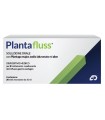 PLANTAFLUSS IDROGEL 20 STICK MONODOSE DA 10 ML