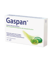 GASPAN CAPSULE MOLLI GASTRORESISTENTI CAPSULA MOLLE GASTRORESISTENTE 14 CAPSULE IN BLISTER PVC/PVDC-AL