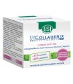 ESI BIOCOLLAGENIX CREMA ANTIETA' 50 ML