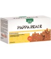 ESI PAPPA REALE 10 FLACONCINI