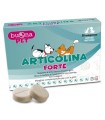 ARTICOLINA FORTE 30 COMPRESSE MASTICABILI