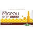 PROPOLI EVSP AEROSOL 20 FIALE X 2 ML