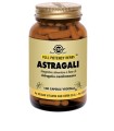 ASTRAGALI 100 CAPSULE VEGETALI