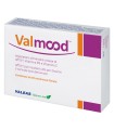 VALMOOD 60 COMPRESSE FILMATE